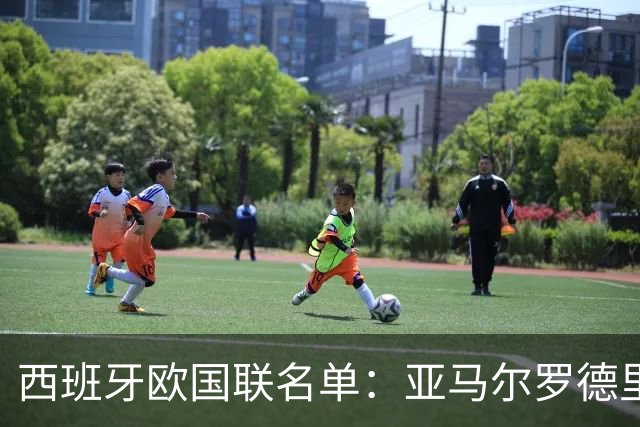 西班牙欧国联名单：亚马尔罗德里领衔 加维落选